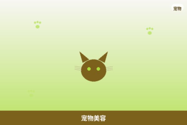 宠物美容