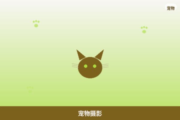 宠物摄影